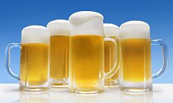 Верховое брожение пива